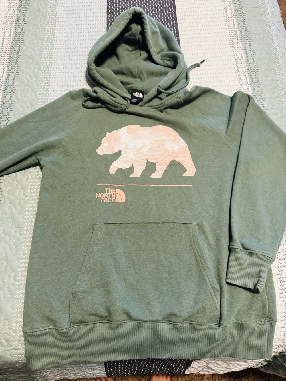 The North Face  Green Bear Graphic Hoodie
